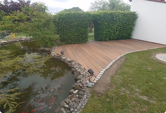 Holzterrasse neben Teich mit Fischen, umgeben von Steinen und einem gepflegten Rasen mit Hecke und weißer Hauswand im Hintergrund.