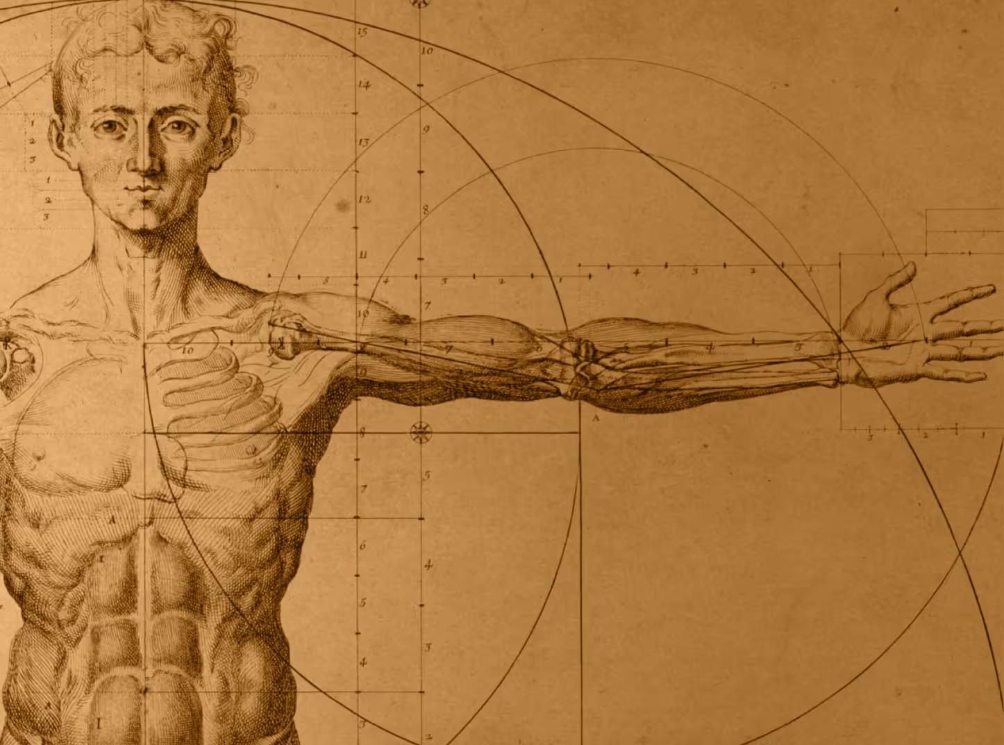 home our content right image