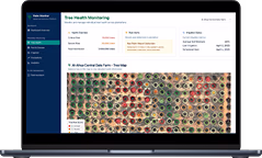 Laptop screen displaying a Tree Health Monitoring dashboard with a detailed aerial image of trees and health status metrics.