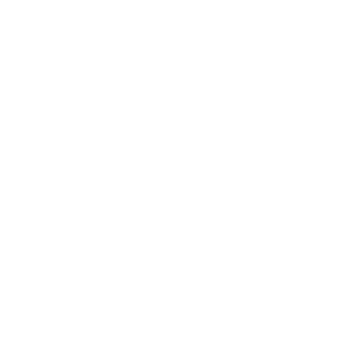 Securiport Benin - Excellence in Biometric Technologies