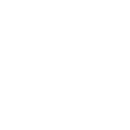 Securiport Benin - End-to-End Solution Delivery