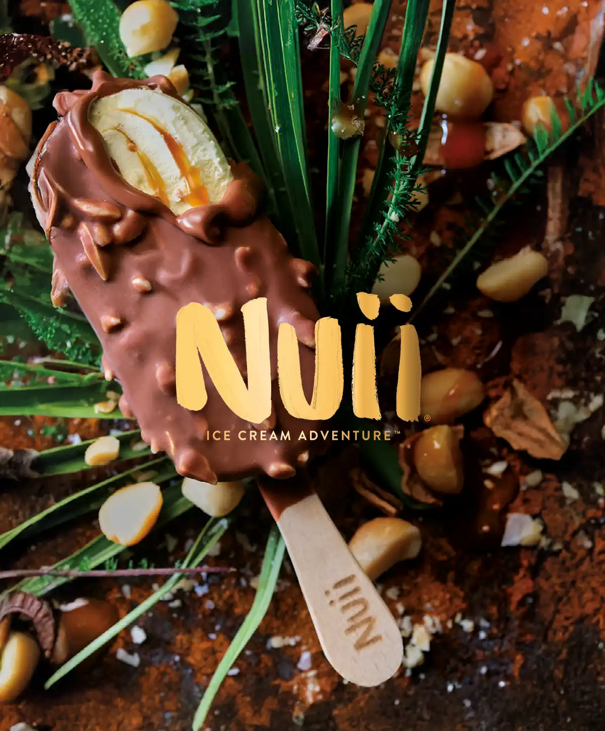 Roomijs met een laagje chocolade en karamel, omgeven door noten en groene planten.