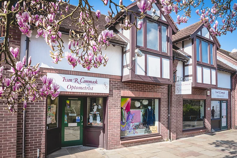 Exterior view of Ivan R. Cammack Optometrist shop with brick facade and blooming pink magnolia tree branches in front.