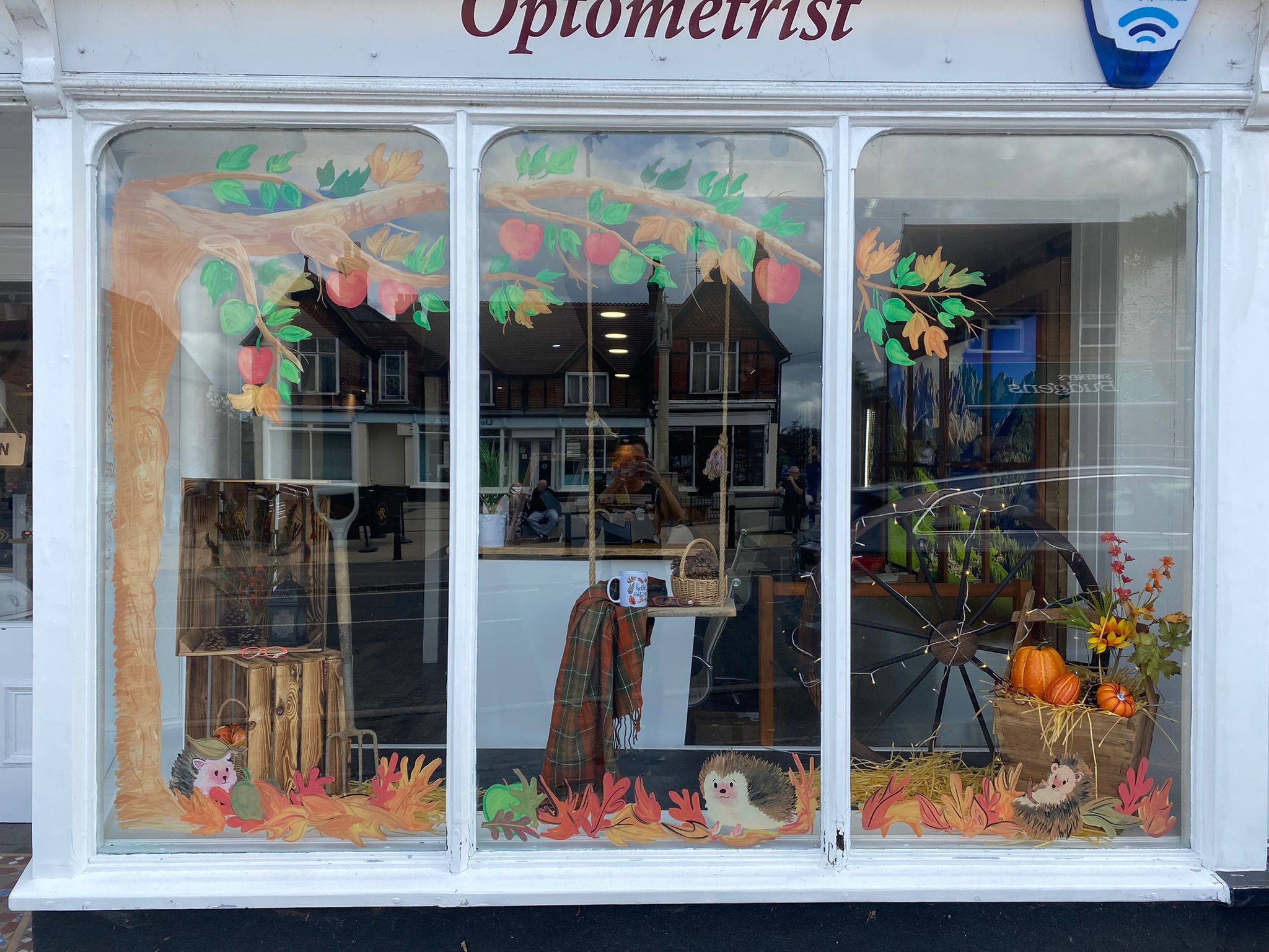 Autumn-themed optometrist storefront window display with painted tree branches, leaves, and decorative hedgehog figures.
