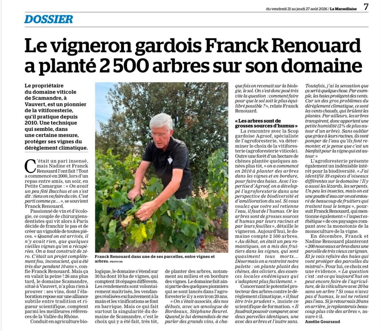 J34 : on coupe et presse du Carignan. On va dans 2 parcelles conduites en agroforesterie. C’est une démarche que nous avons commencé en 2007. Le bénéfice des arbres en viticulture est établi. Cela emp