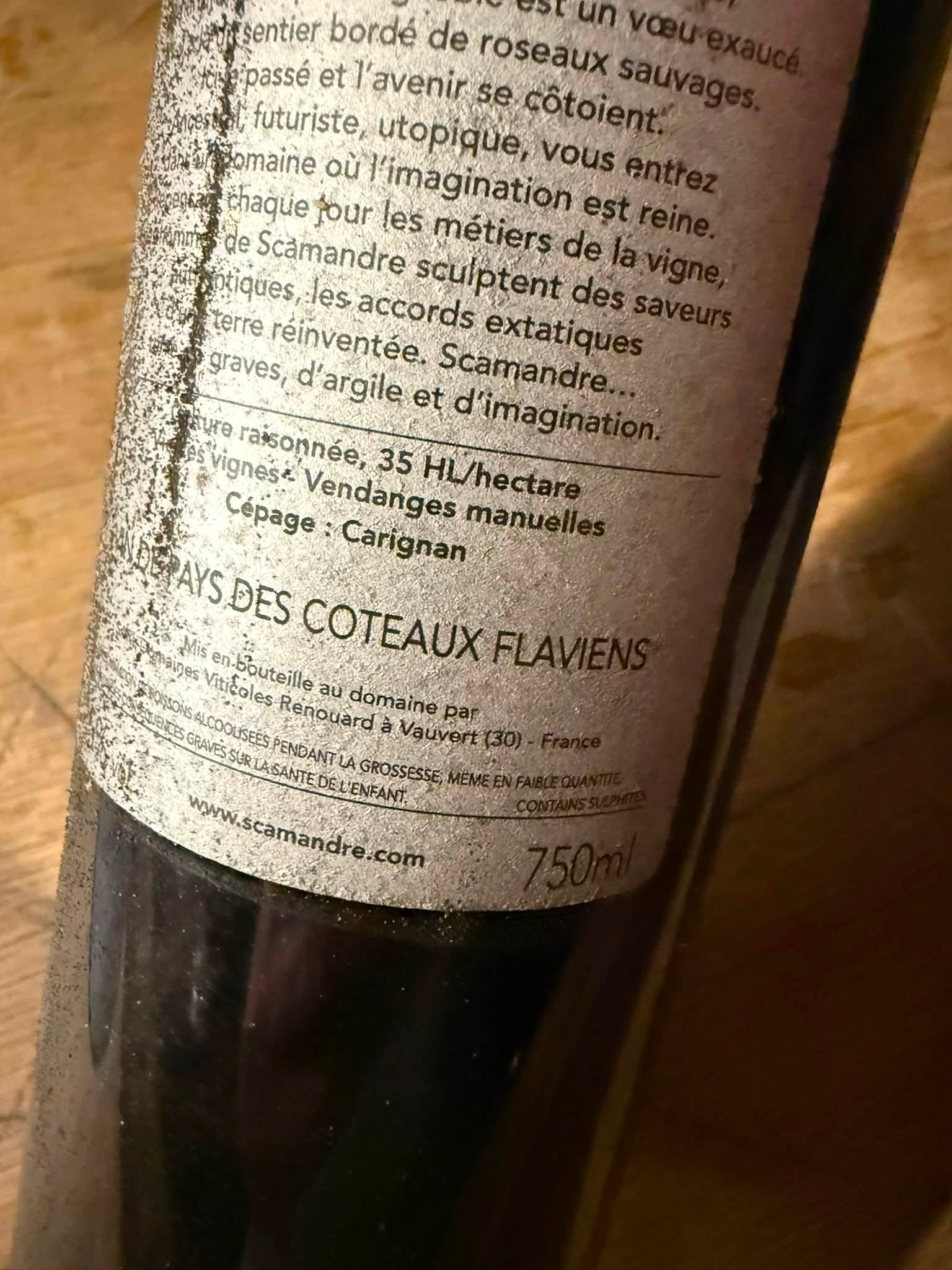 J33 : grosse journée de vendange (🥵) et à la cave avec presse de nos Carignans. Ce cépage a été délaissé car malmené et sur exploité. Avec des vieilles vignes et à petit rendement c’est un cépage mag
