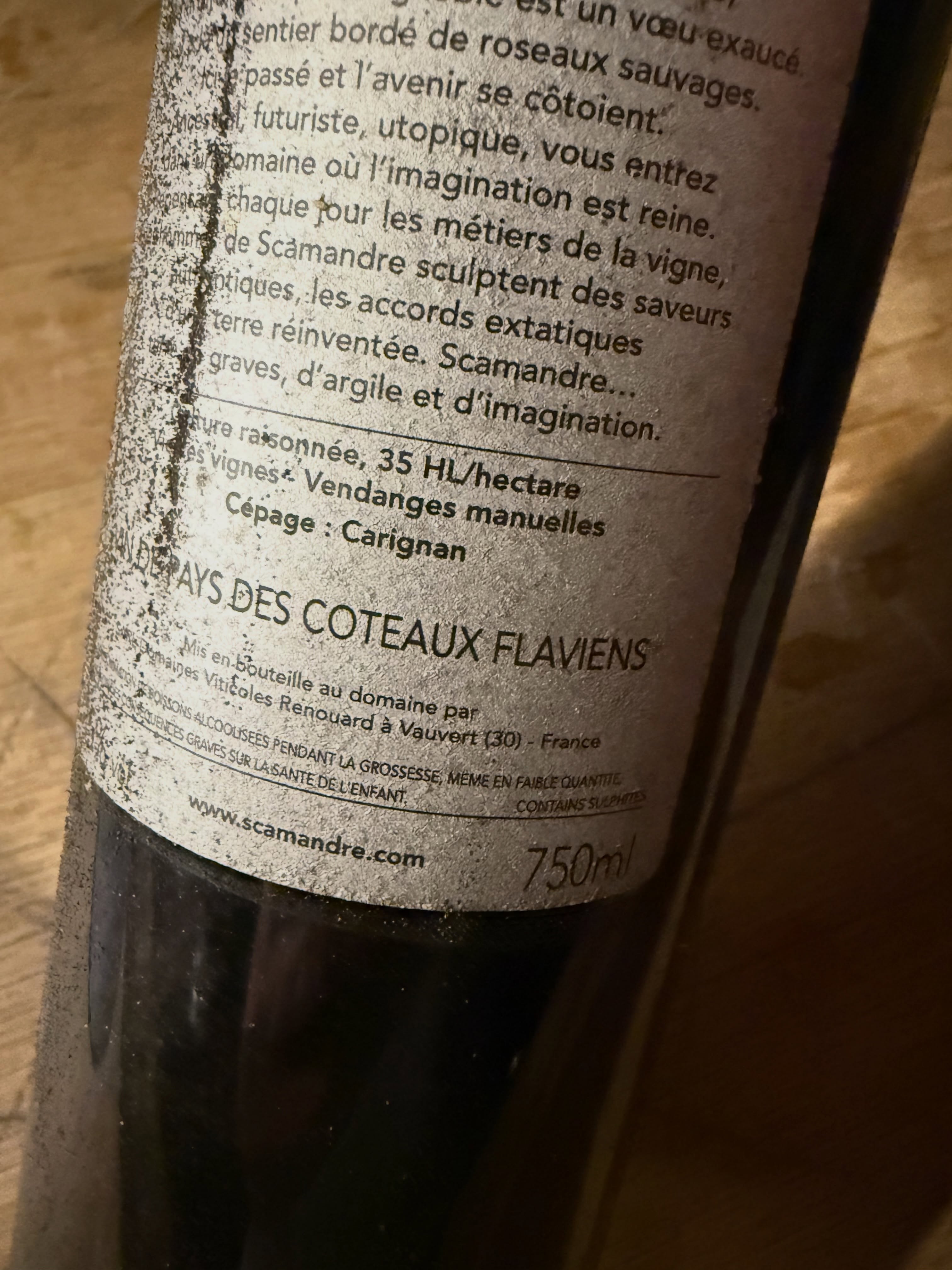 J33 : grosse journée de vendange (🥵) et à la cave avec presse de nos Carignans. Ce cépage a été délaissé car malmené et sur exploité. Avec des vieilles vignes et à petit rendement c’est un cépage mag