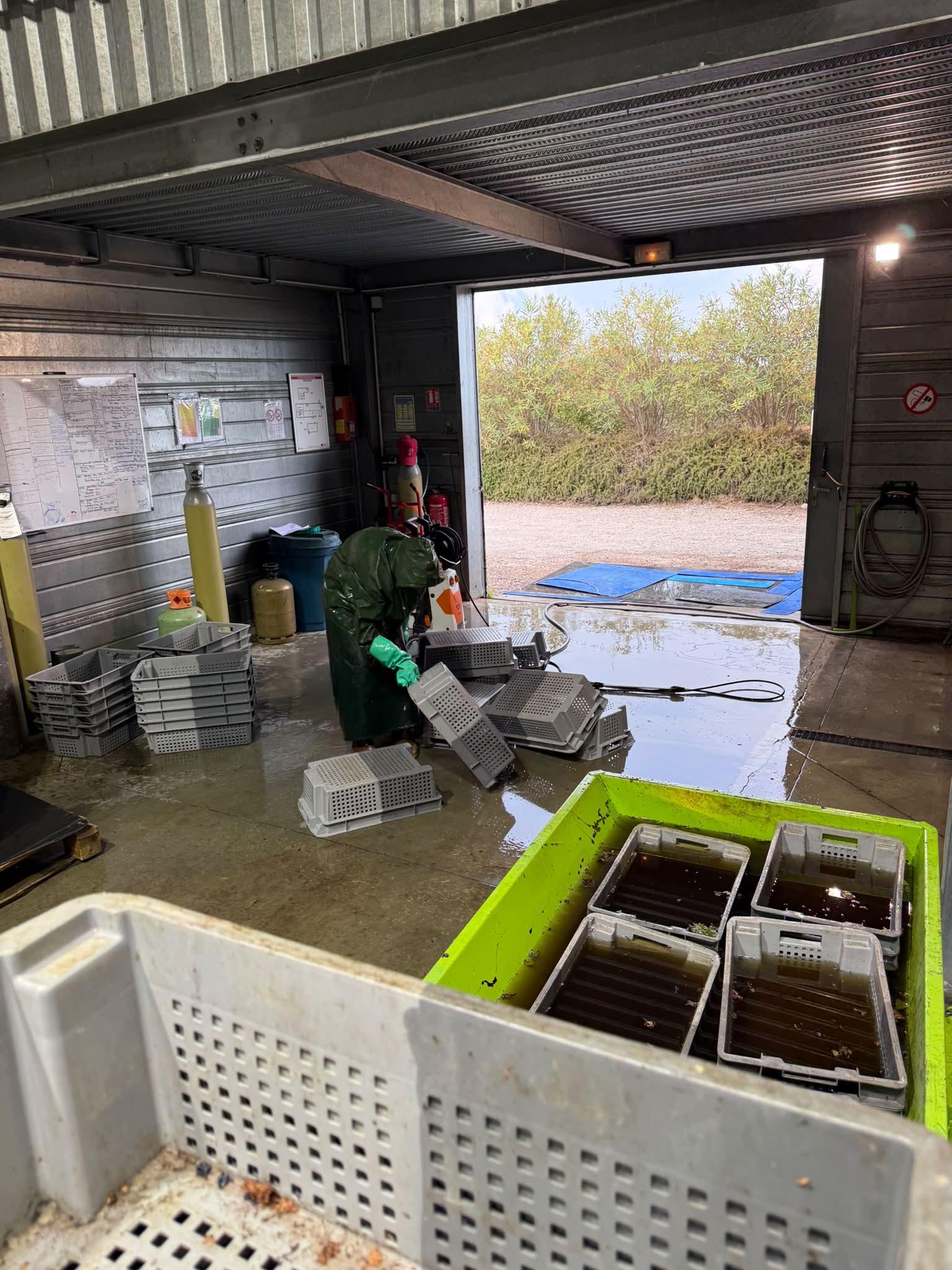 Un des aspect « caché «  du travail au chai est le grand nettoyage après les vendanges. Tout doit être décapé, lavé et désinfecté avant d’être rangé en attendant la prochaine vendange. Cela prend pres