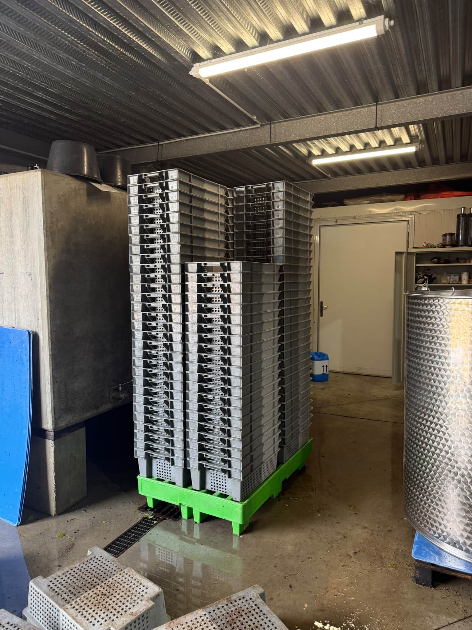 Un des aspect « caché «  du travail au chai est le grand nettoyage après les vendanges. Tout doit être décapé, lavé et désinfecté avant d’être rangé en attendant la prochaine vendange. Cela prend pres