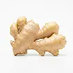 Ginger