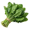 Spinach