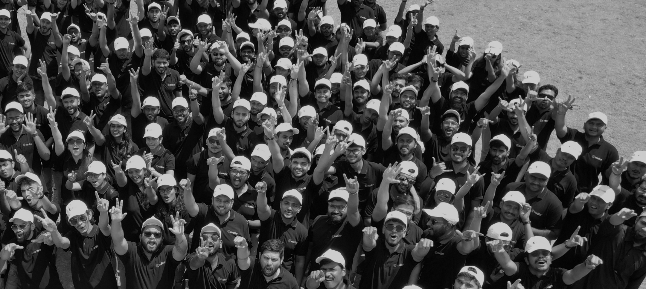 Large group of people wearing white caps and black shirts, cheering and raising hands outdoors on grass.