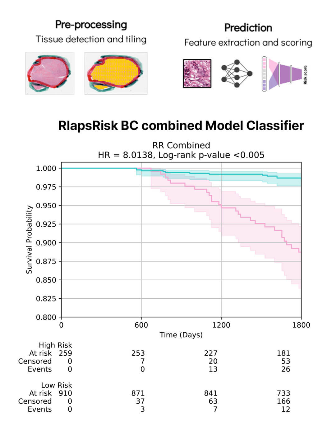 Prediction of patient prognosis from digitized pathology slides in early Breast Cancer (ER+/HER2-)