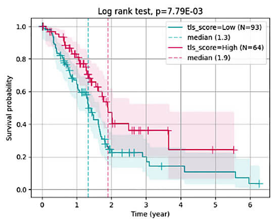 Prediction of patient’s TLS status from H&E whole slide images in pan-cancer cohort