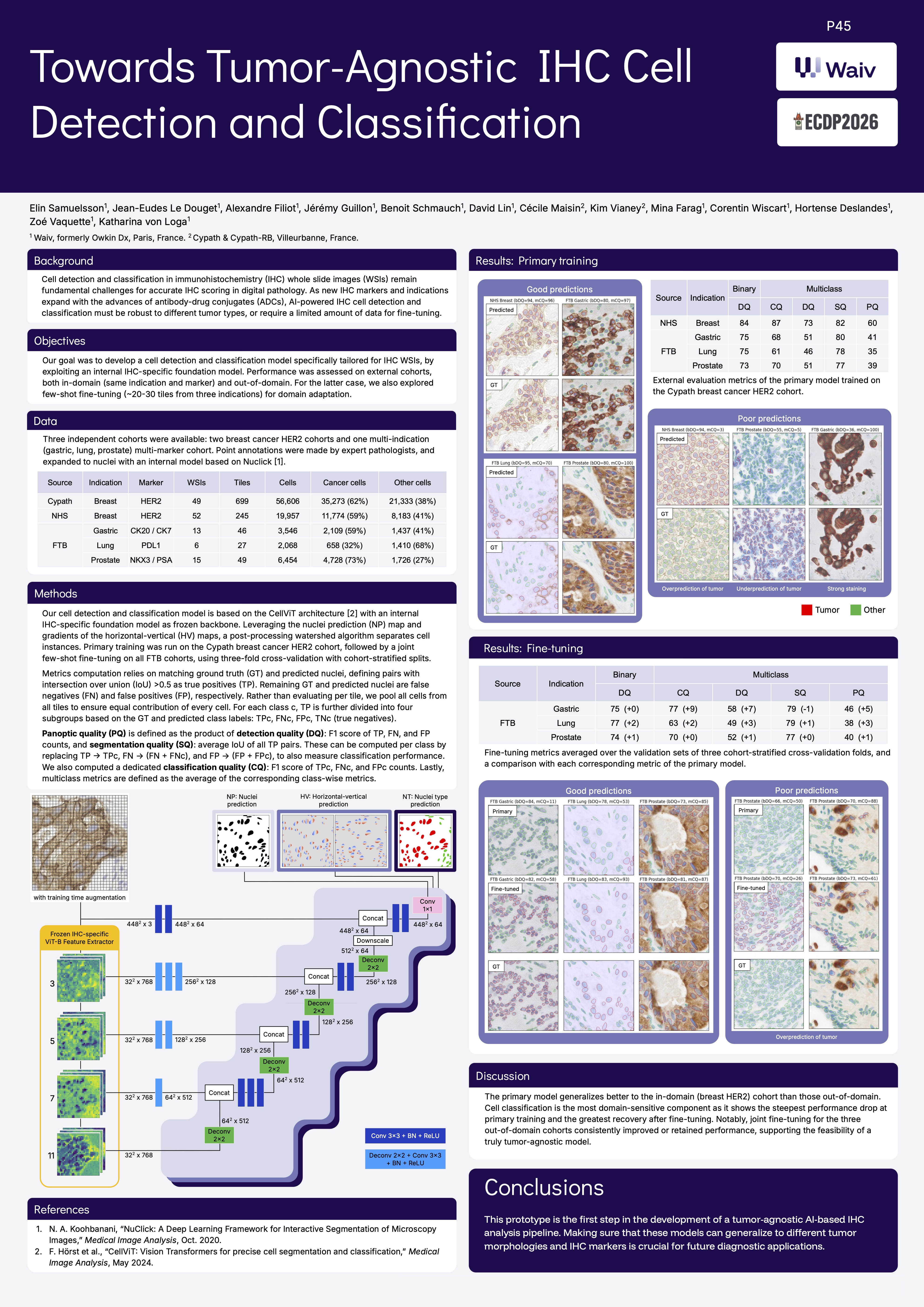 Towards Tumor-Agnostic IHC Cell Detection and Classification