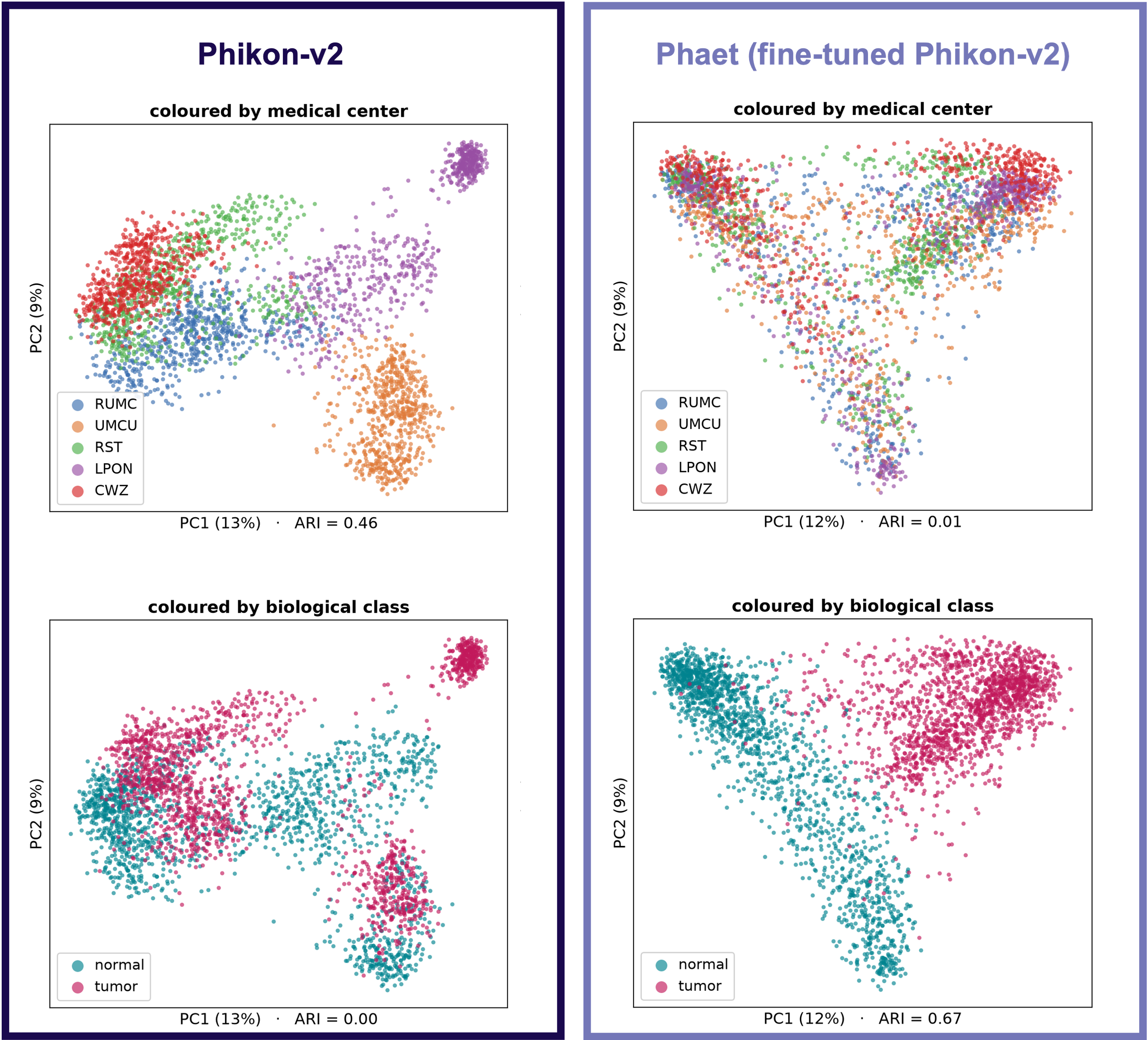 Principal component analysis projection on the Camelyon dataset showing improvement after fine-tuning