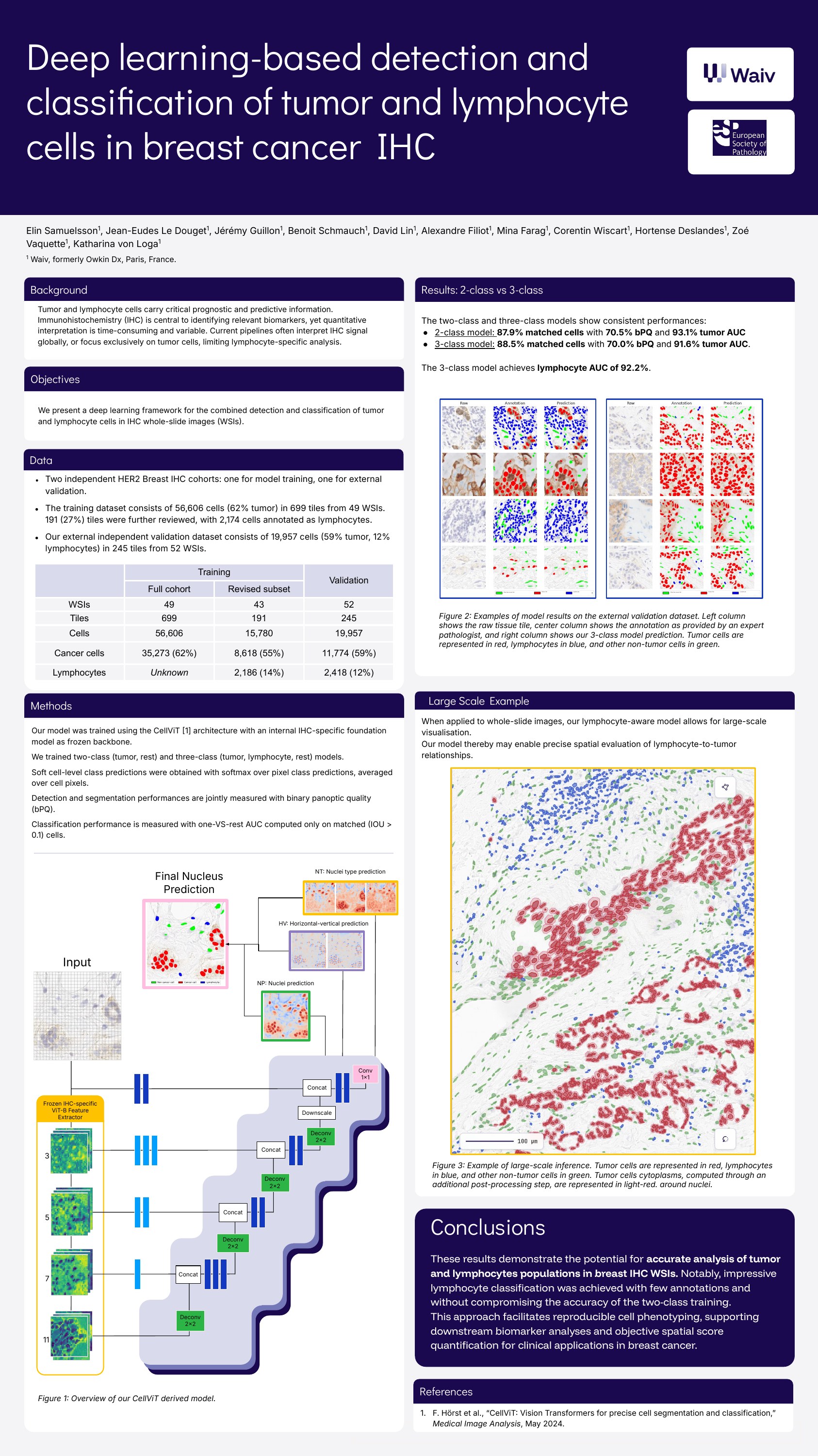Deep learning-based detection and classification of tumor and lymphocyte cells in breast cancer IHC