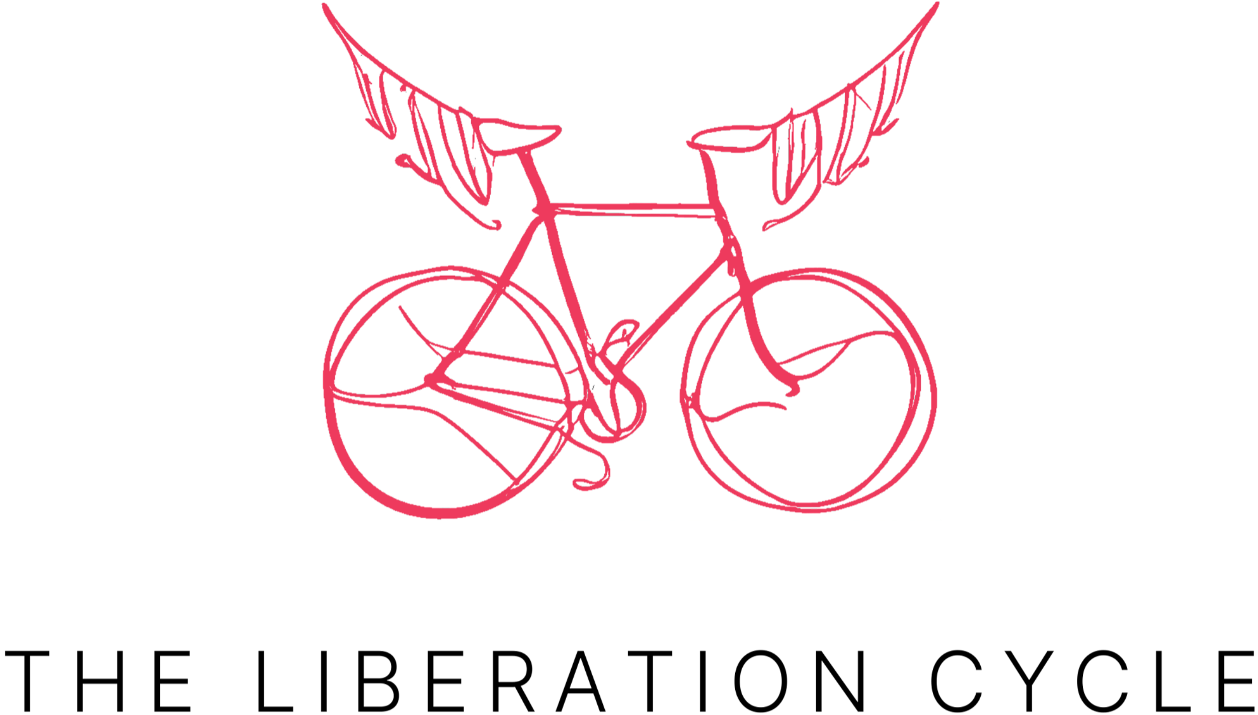 Red hand-drawn bicycle with stylized wings attached to the handlebars.
