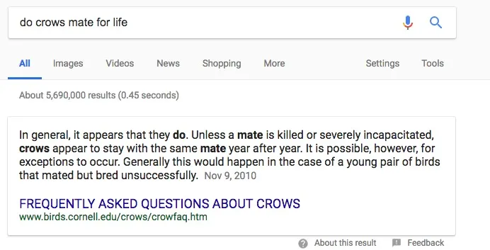 Voice Assistant and Marketing in 2018