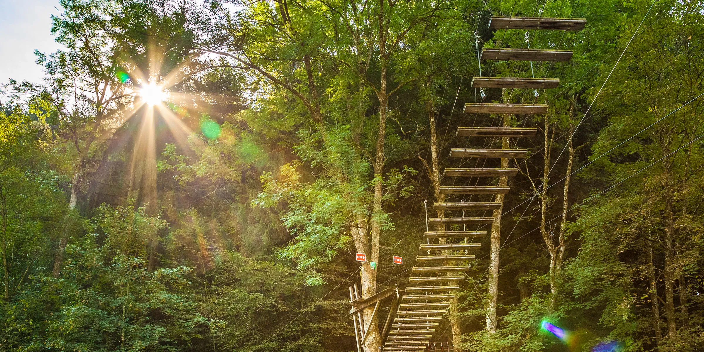 Parcours zwischen den Bäumen im Hochseilpark Seeham