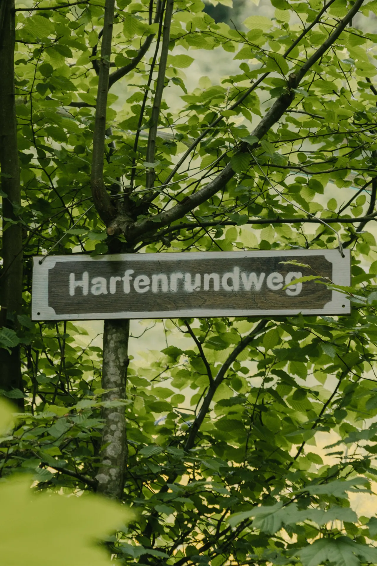 Naturerlebnisweg im Teufelsgraben bei Seeham