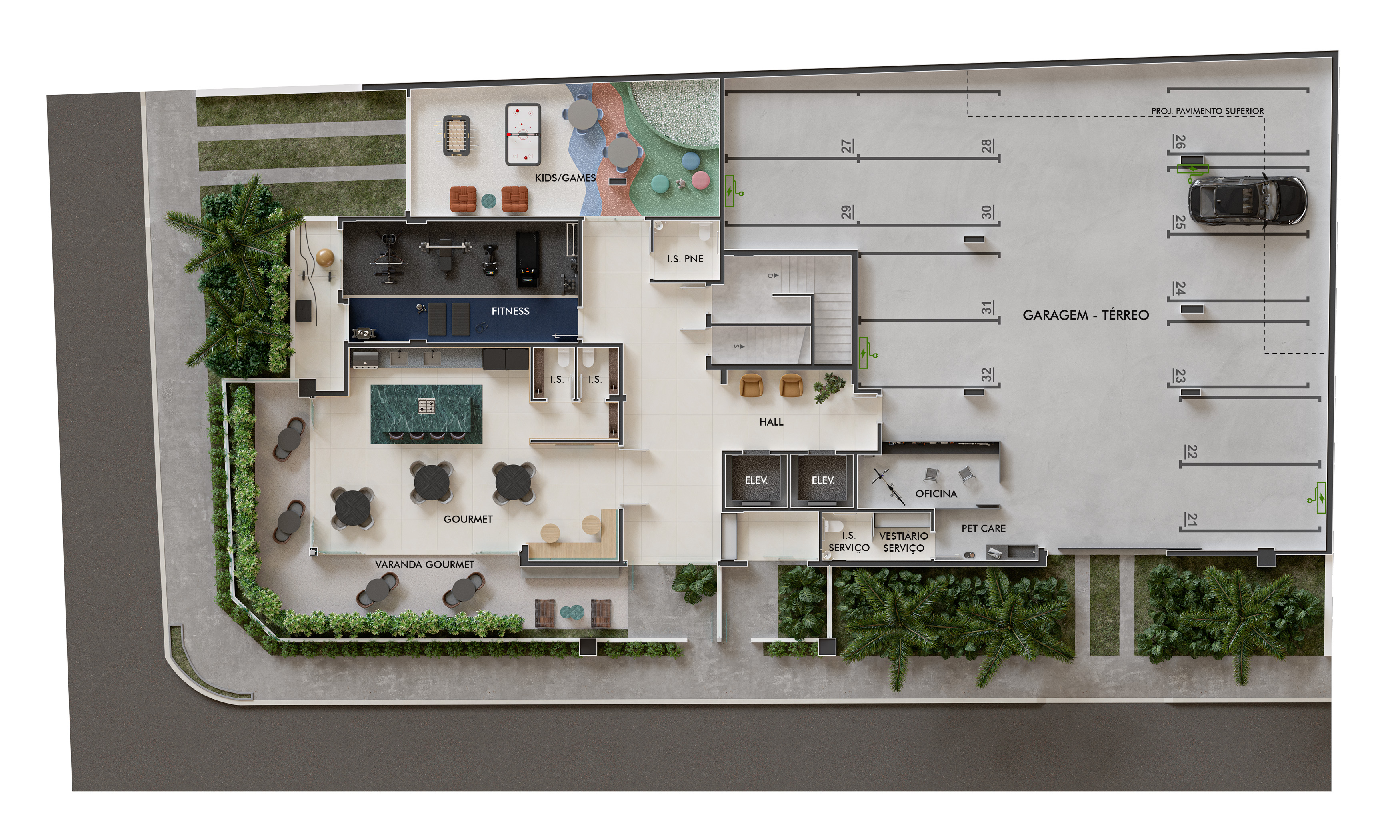 Planta imagem