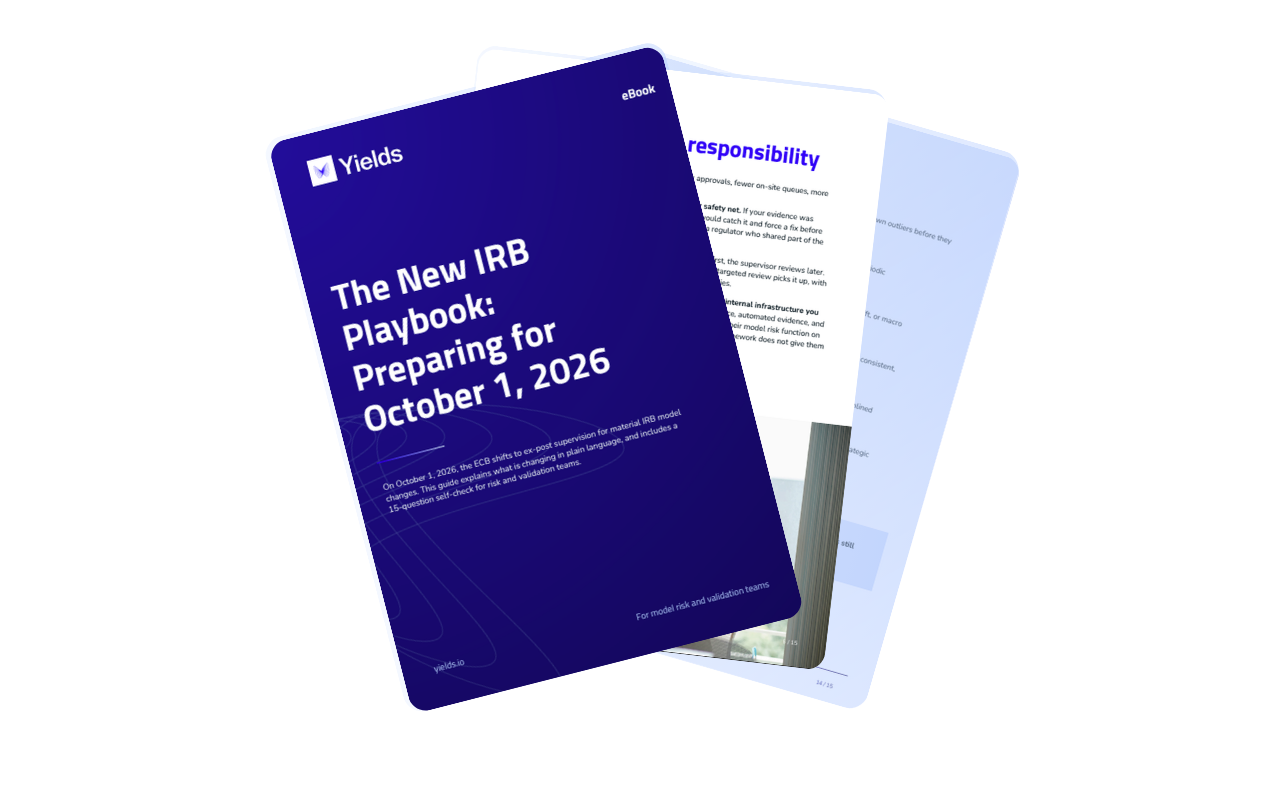 Risk professional reviewing IRB models
