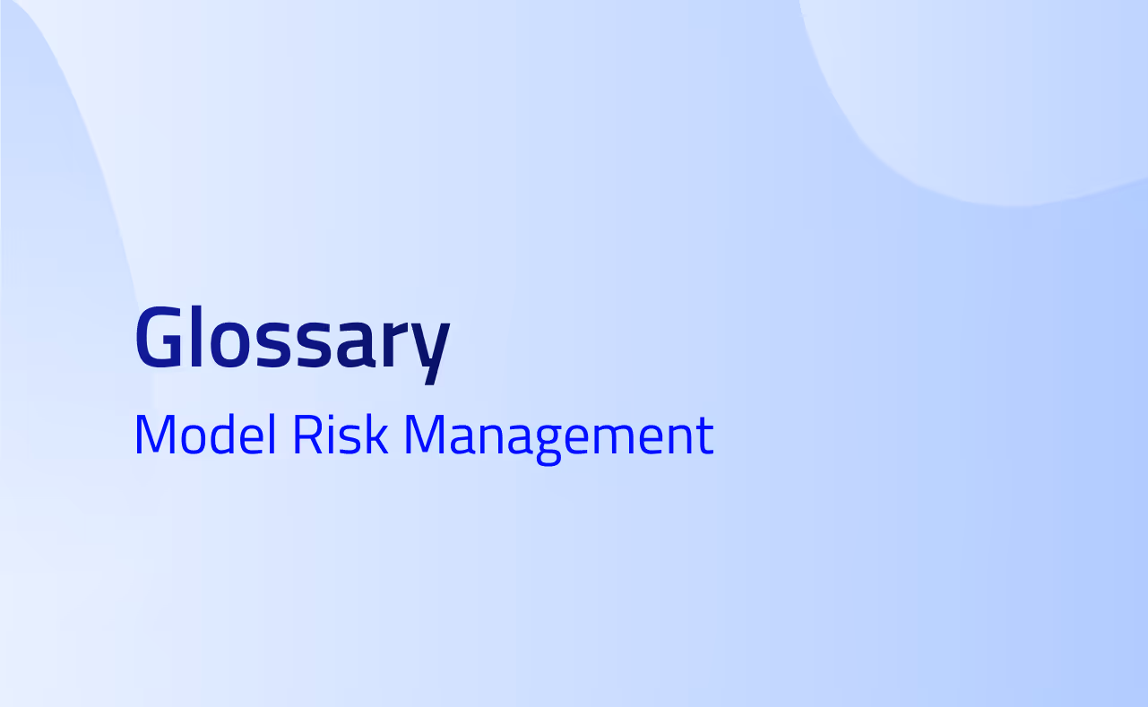 Model Risk Management definition