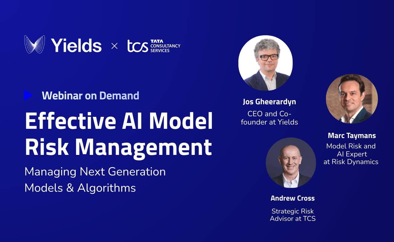 Effective AI Model Risk Management