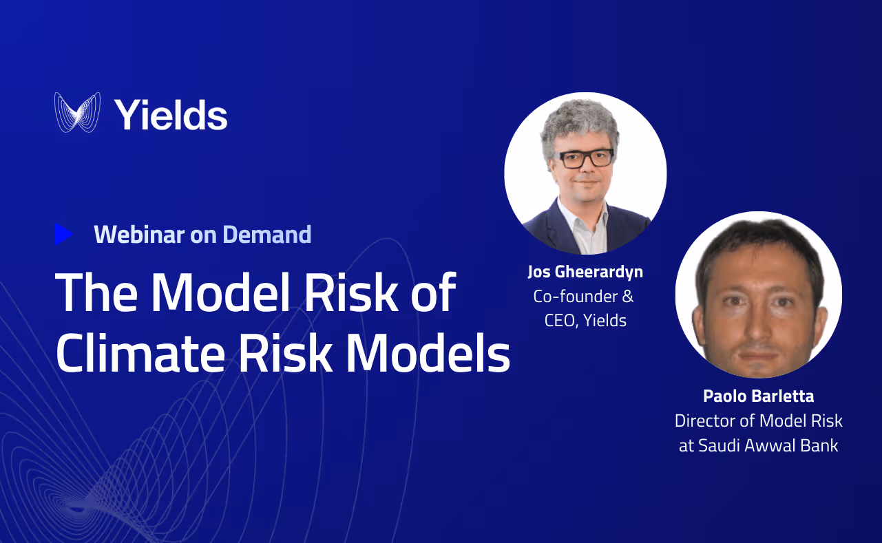 The model risk of climate risk models