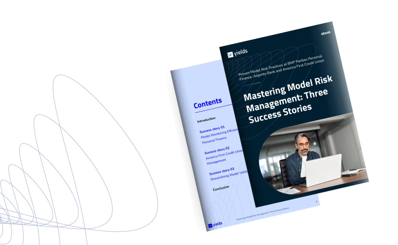 Mastering Model Risk