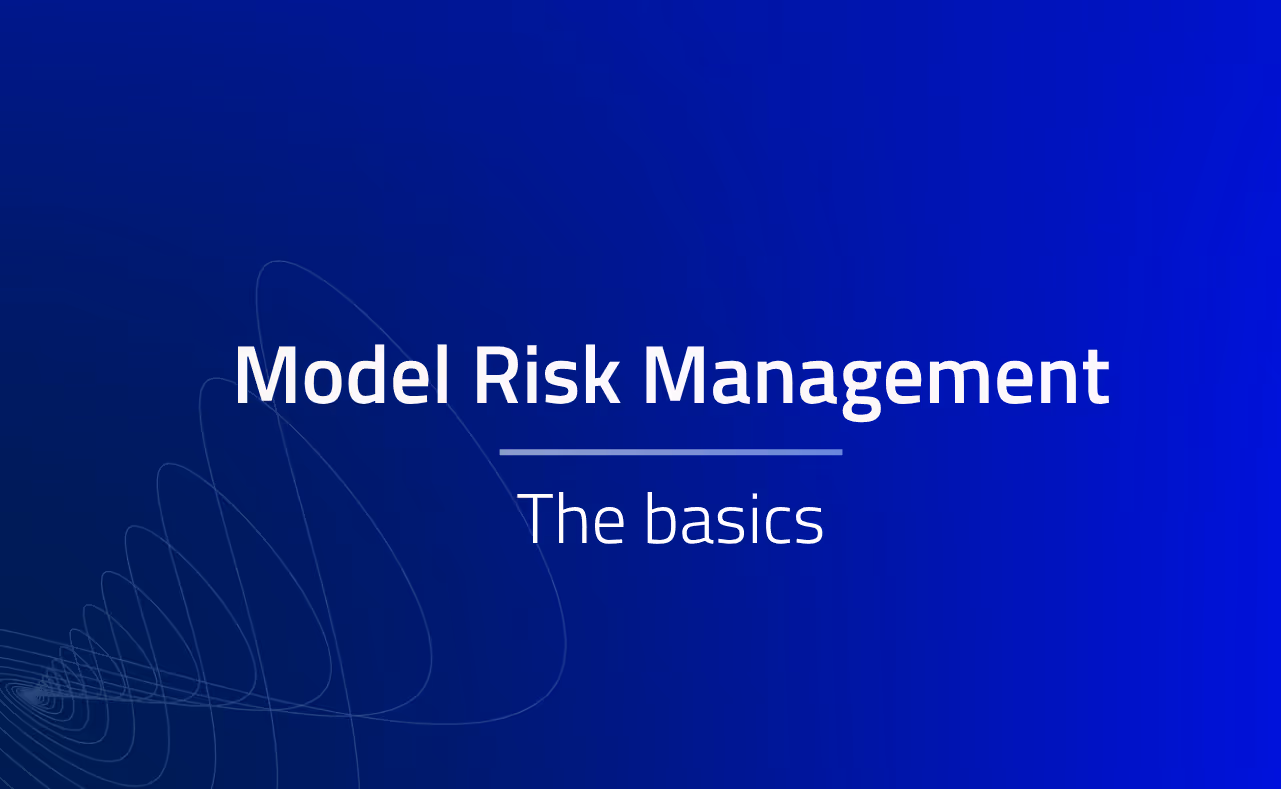 Model Risk Management The Basics