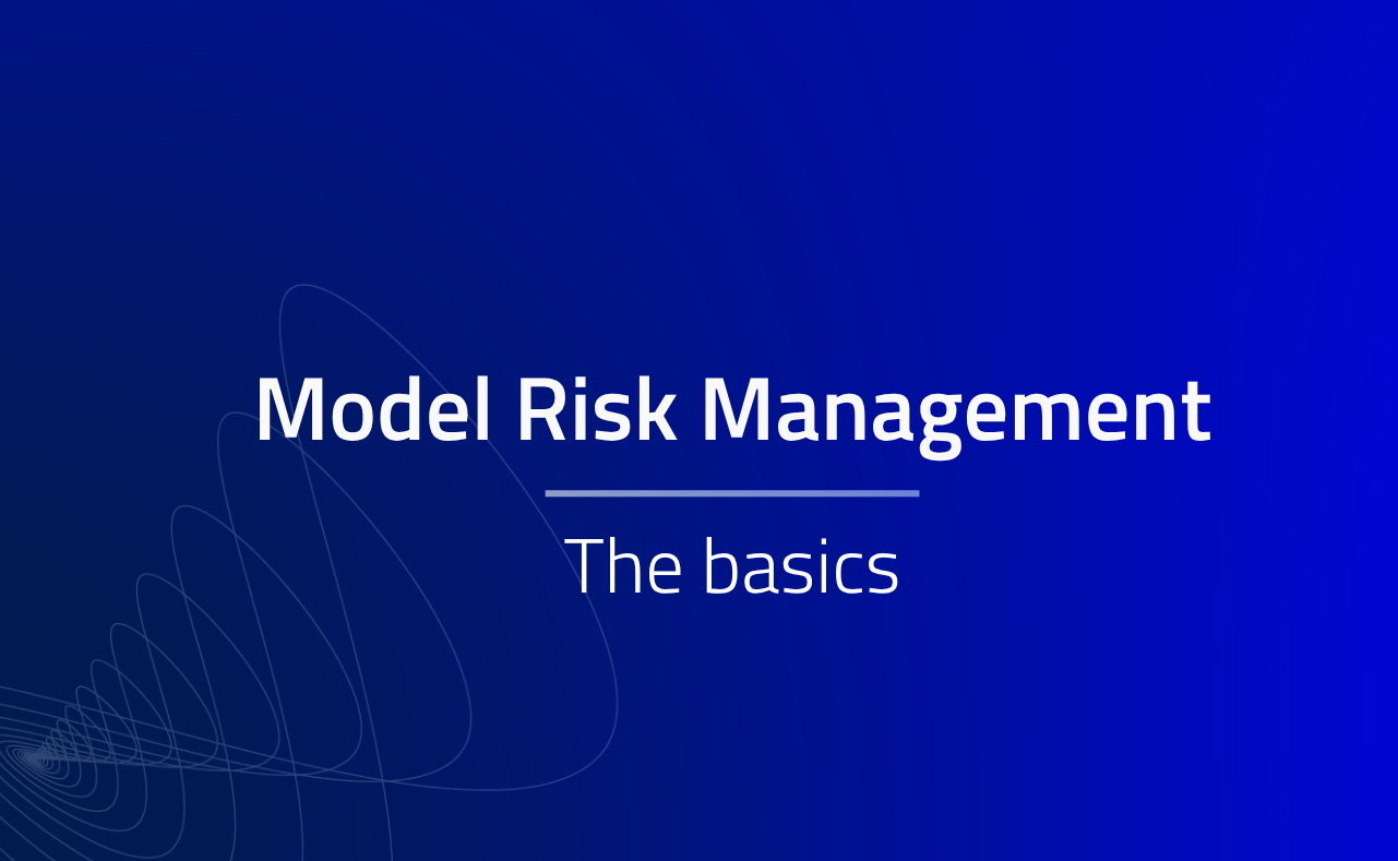 Model Risk Management The Basics