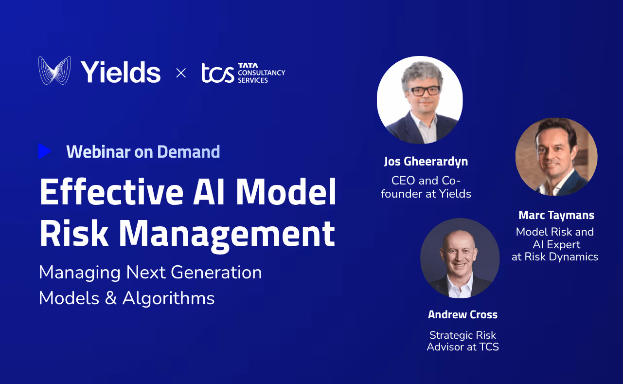 Effective AI Model risk Management