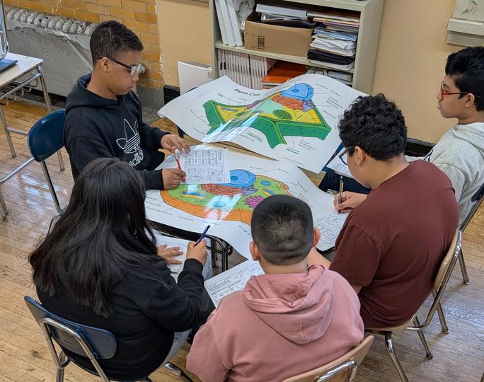 Students collaborate at a table studying a plant cell diagram