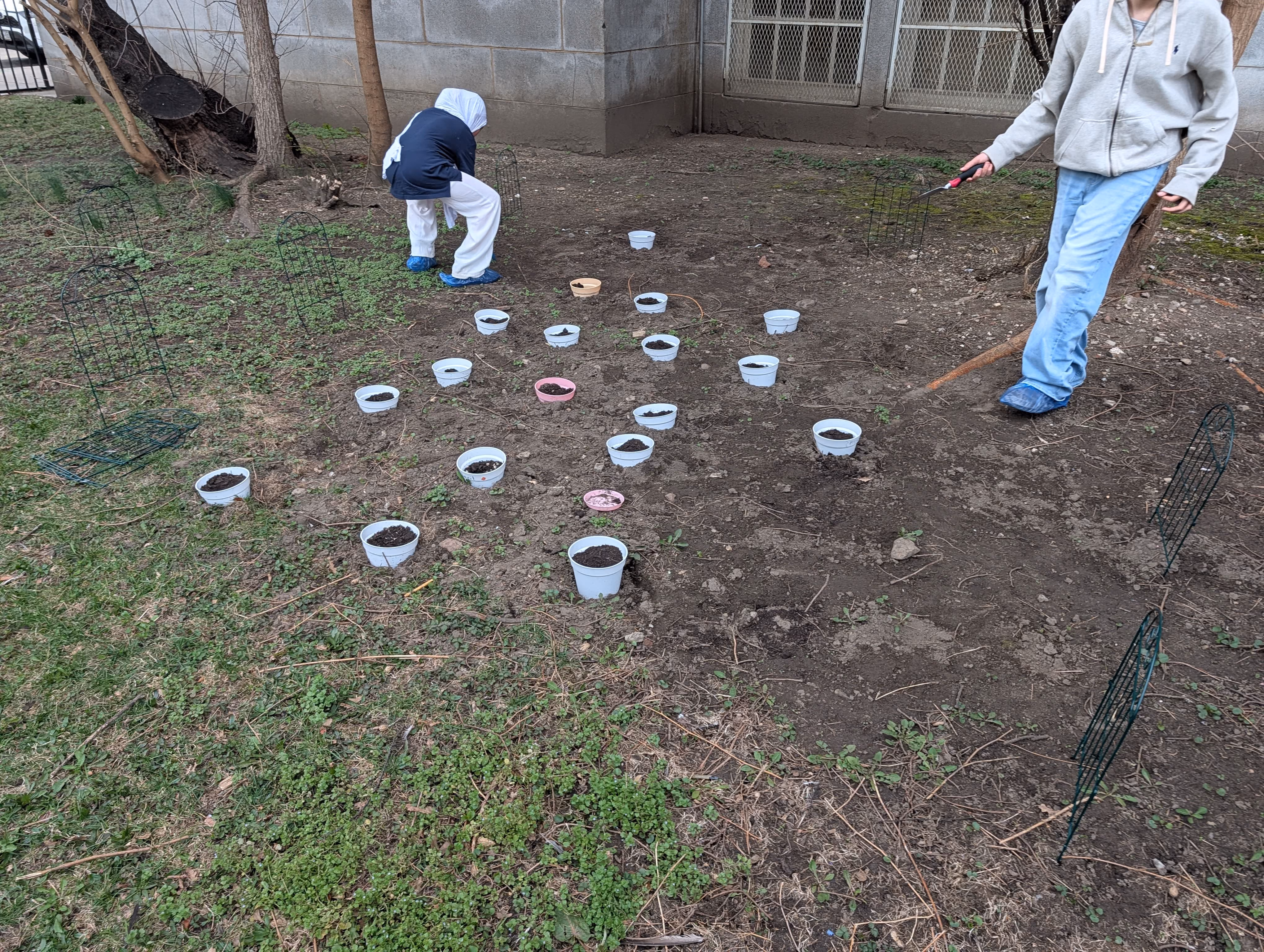 Students planting seedlings in small pots in school garden