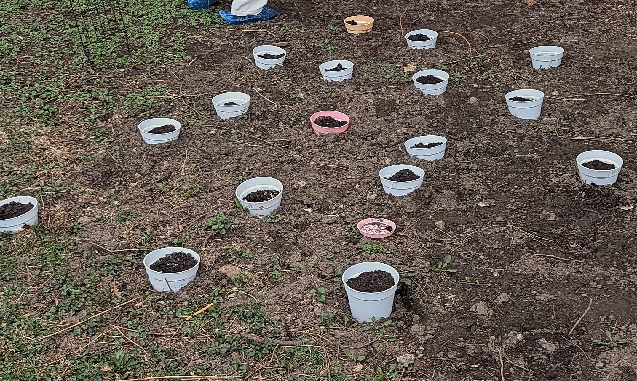 The new I.S. 126 wellness garden