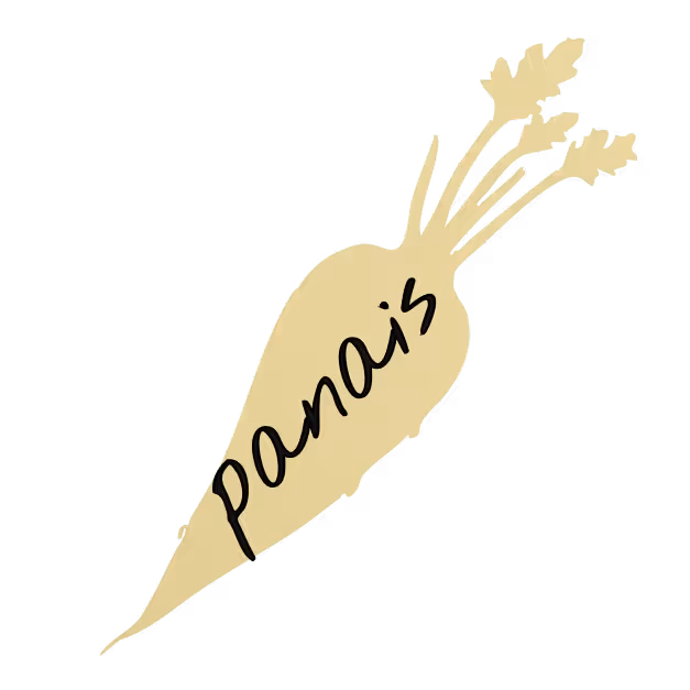 lien vers carnet panais