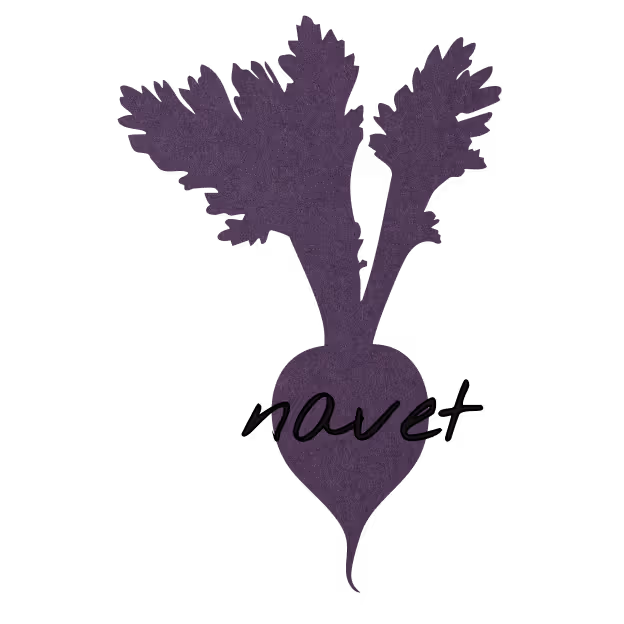 lien vers carnet navet