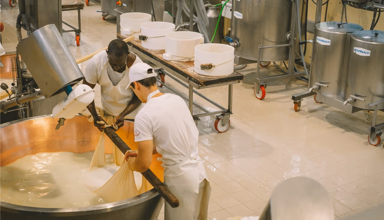 Plateau de fromages AOP français pour famille — Mamacita