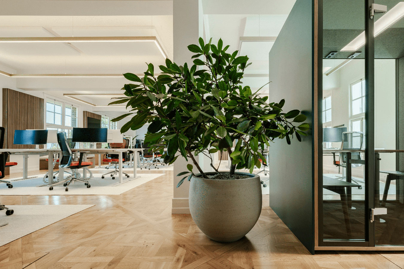 Corum Investments HQ