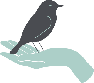 Illustration of a dark gray bird perched on an outstretched light teal hand.