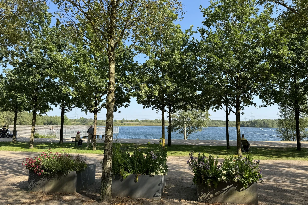 Norderstedt-Bäume-Wasser