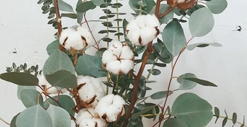 Décoration végétale avec branches de coton et feuillage utilisée pour scénographie événementielle élégante