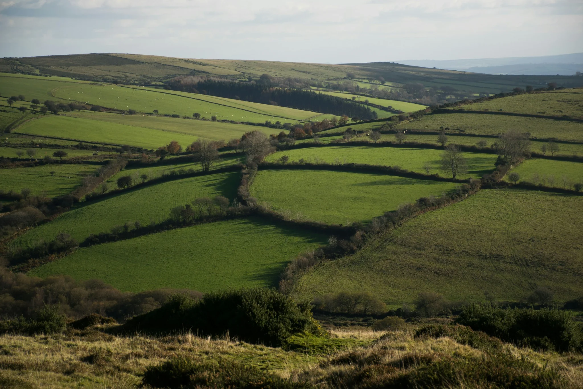 A field showing land management with a link leading to the full service page