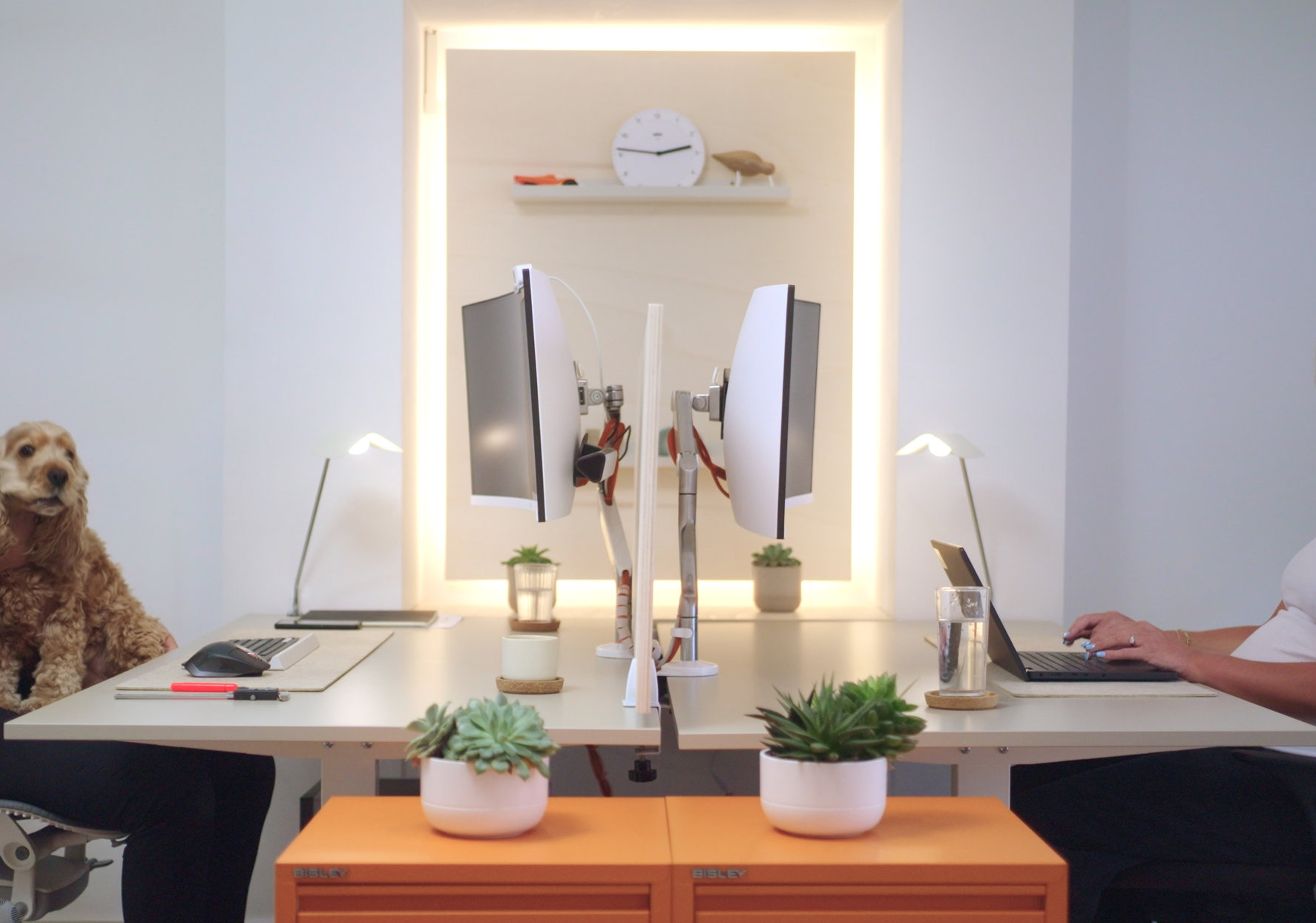 Modern office workspace with two desks facing each other, each with a computer monitor, plants, and desk lamps. A person on the right is using a laptop, and on the left, a dog sits on the chair next to a person. Element studio workspace