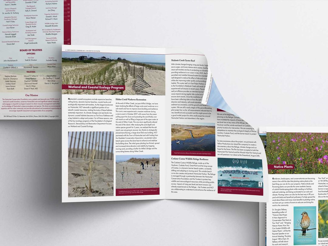 Custom 60th-anniversary newsletter design for Nantucket Conservation Foundation by Nantucket Studio, the island's premier local creative agency.