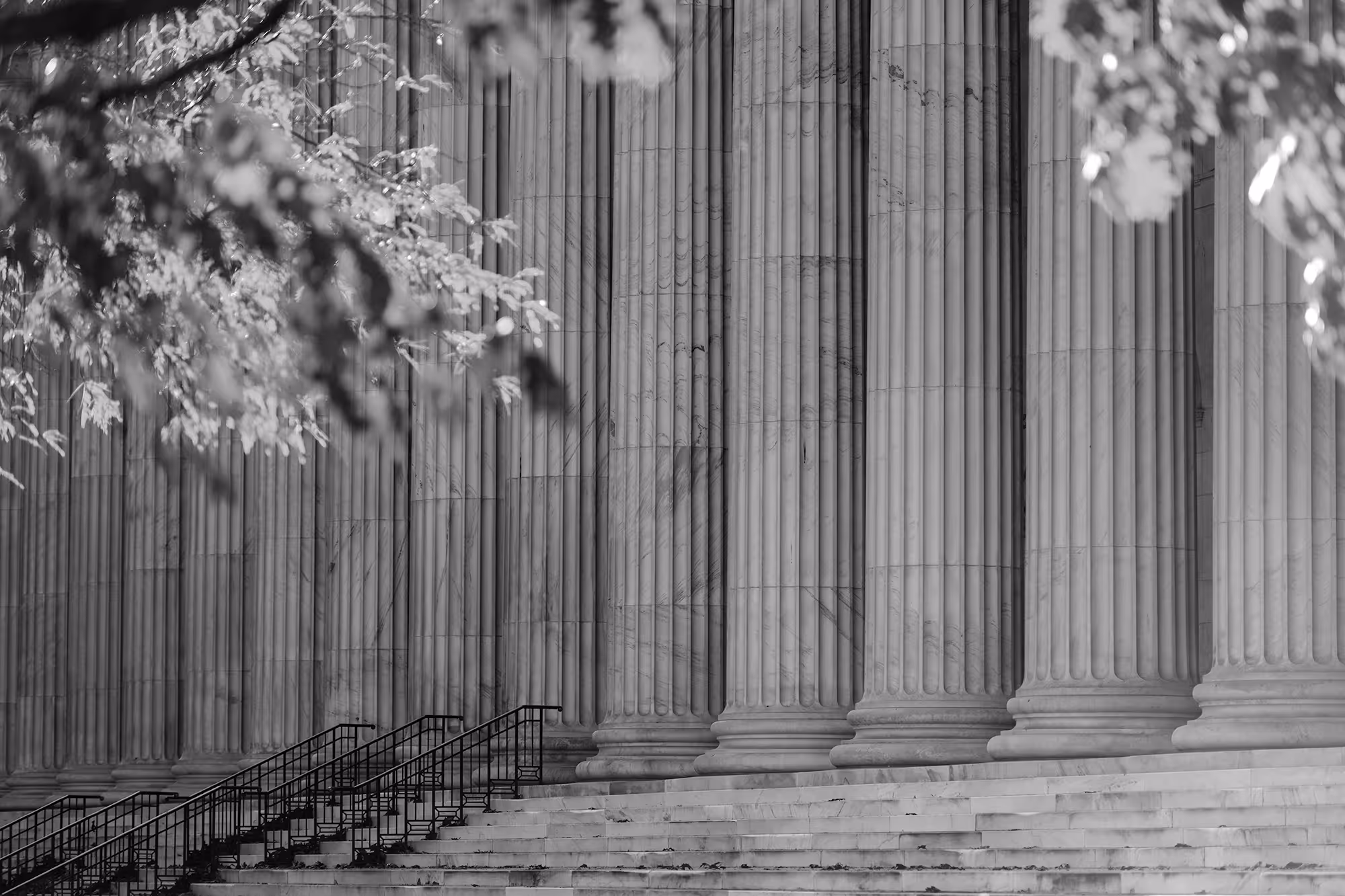 Black and white photo of stone steps leading up to large fluted columns of a classical building partially framed by tree branches.