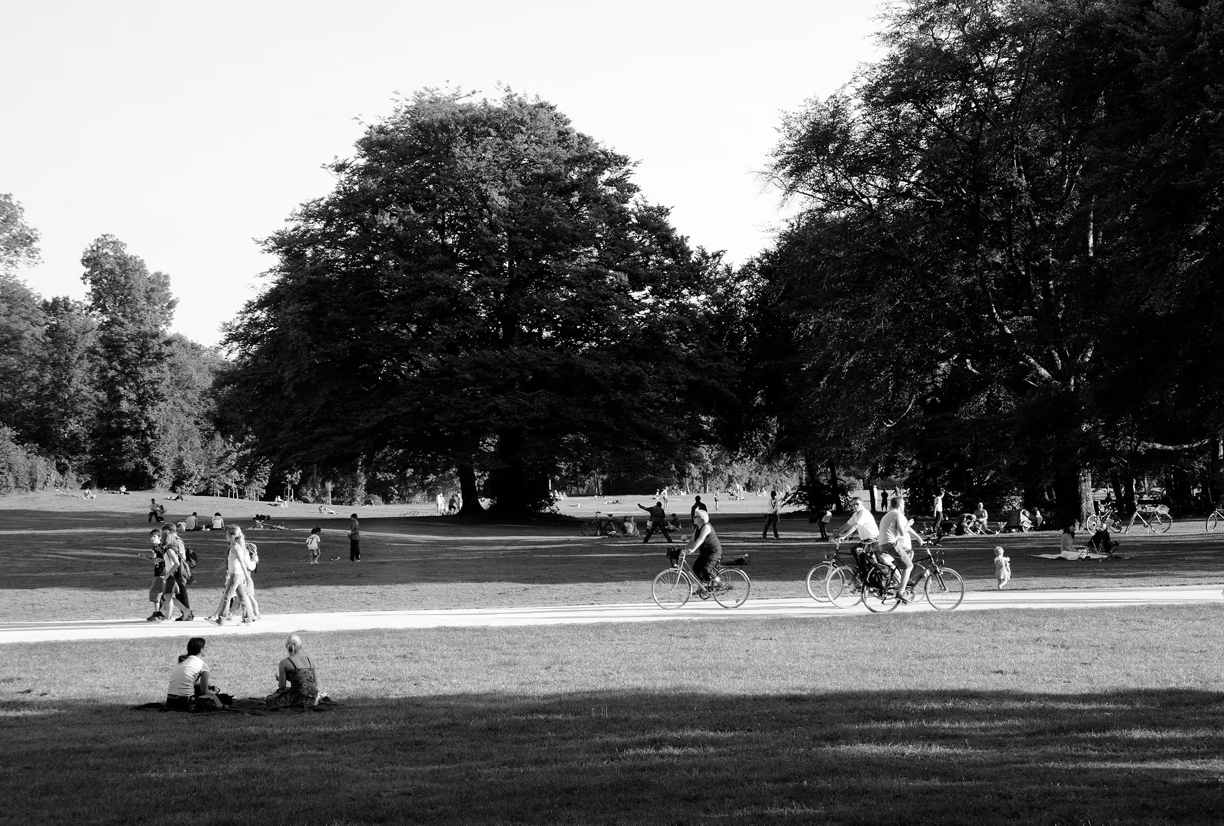 People walking, cycling, and sitting on grass under large trees in a park.