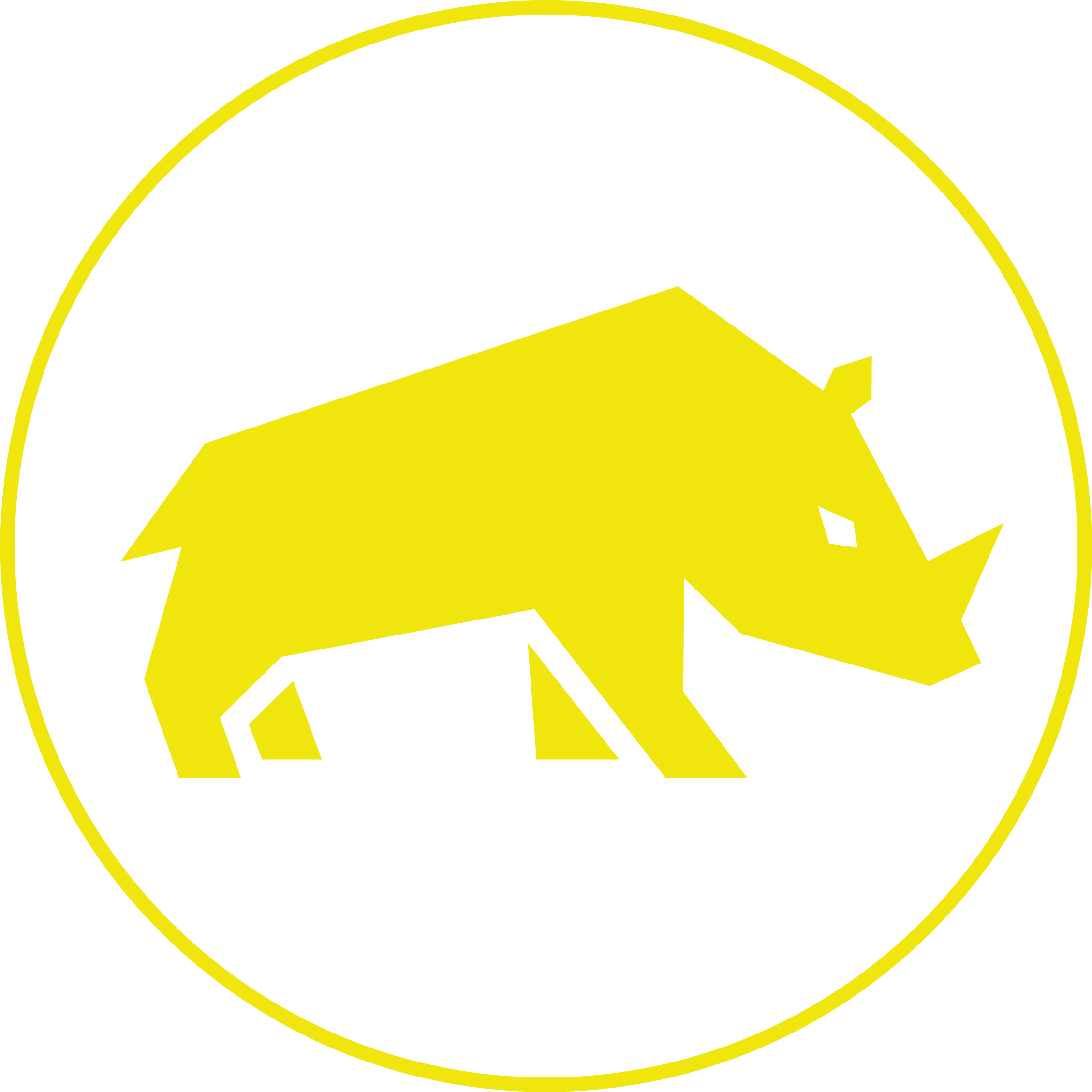 Logo de Javan Campers : Silhouette stylisée d’un rhinocéros jaune dans un cercle jaune sur fond noir.